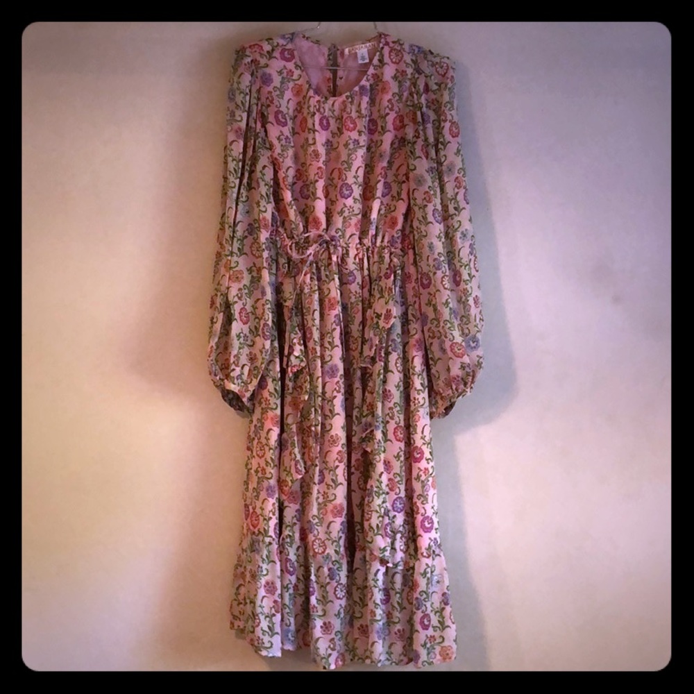 Gorgeous Banjanan Pink Floral Dress